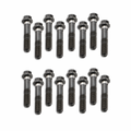 Genuine GM LS Con Rod Bolts - Set of 16