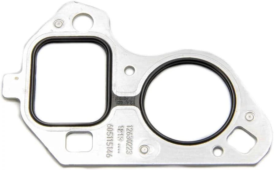 Genuine LS water pump gasket
