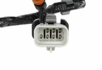 Genuine GM LS1 Coil Wiring Harness