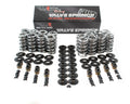 Brian Tooley Racing 685″ ULTIMATE RPM SPRING SK702