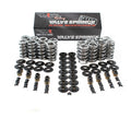 BTR PLATINUM LS DUAL SPRING KIT - .660" LIFT - SK001S
