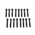 Btr LS Rocker Bolts Kit "16 Bolts