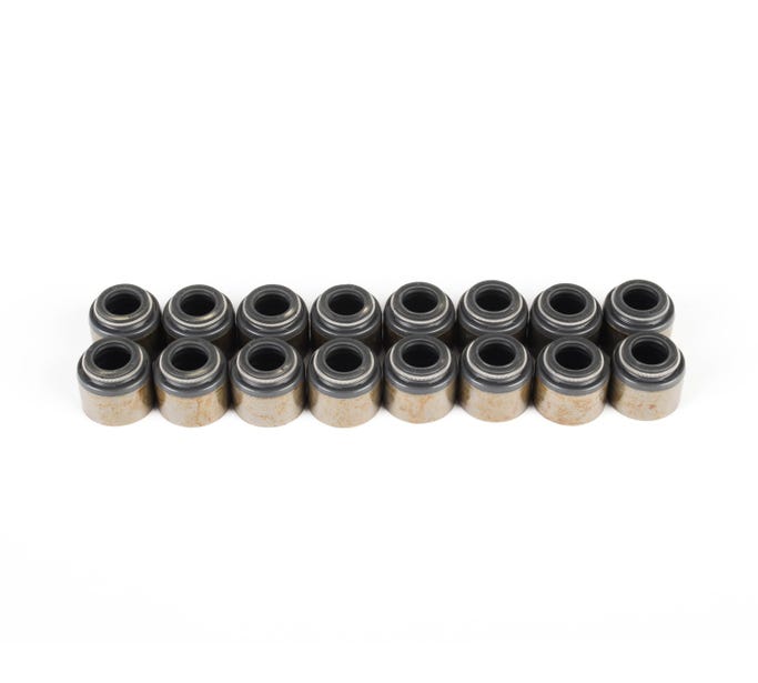 Brian Tooley Racing Valve Stem Seals for LS Kit